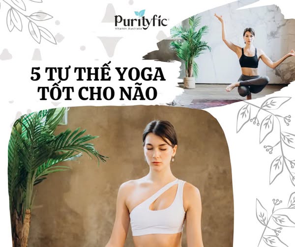 5 TƯ THẾ YOGA TỐT CHO NÃO BỘ