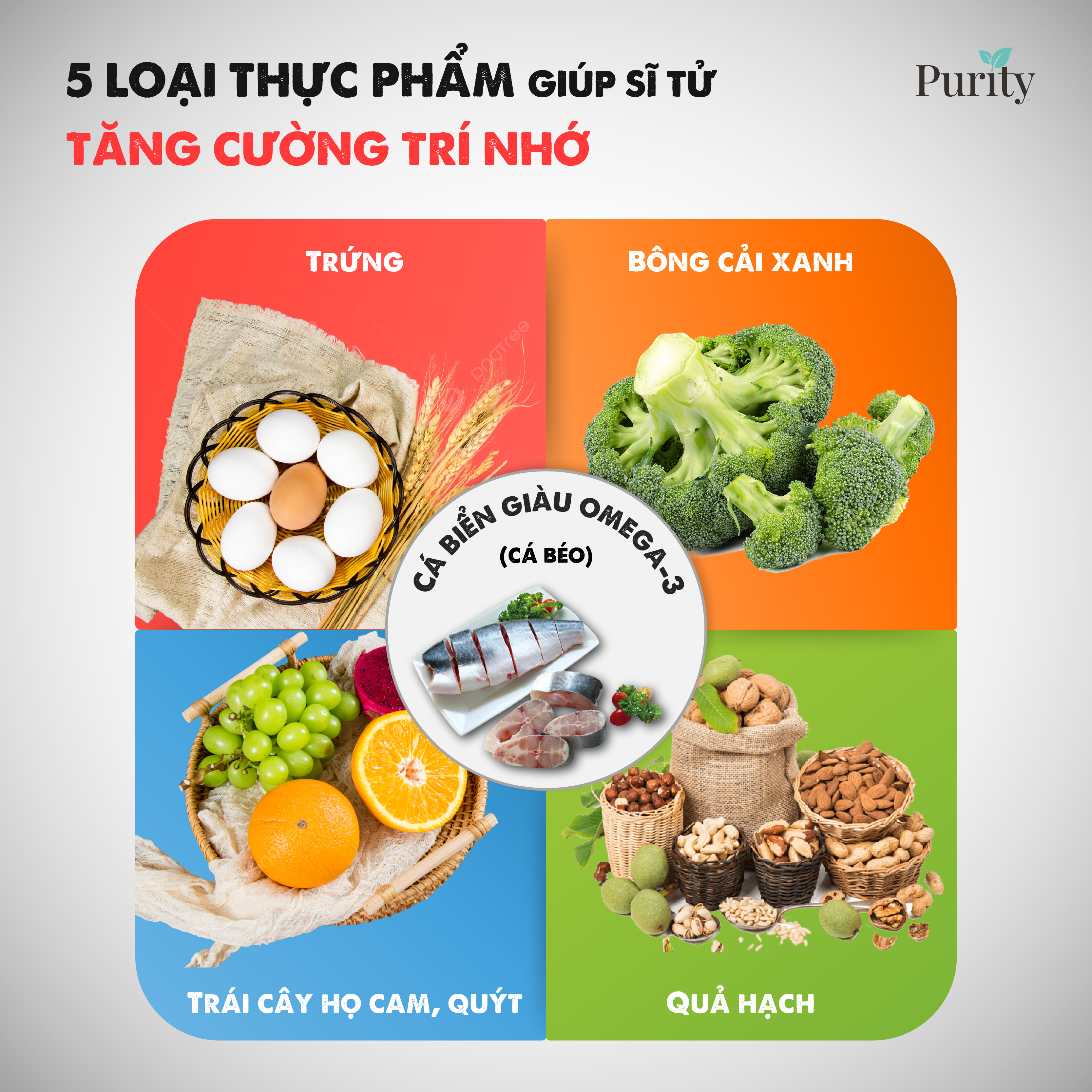 5 LOẠI THỰC PHẨM GIÚP SĨ TỬ TĂNG CƯỜNG TRÍ NHỚ