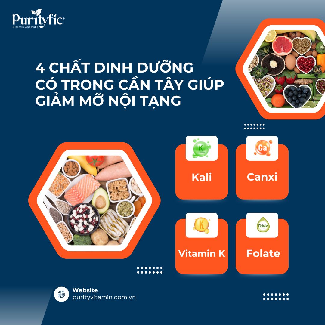 4 CHẤT DINH DƯỠNG CÓ TRONG CẦN TÂY GIÚP GIẢM MỠ NỘI TẠNG