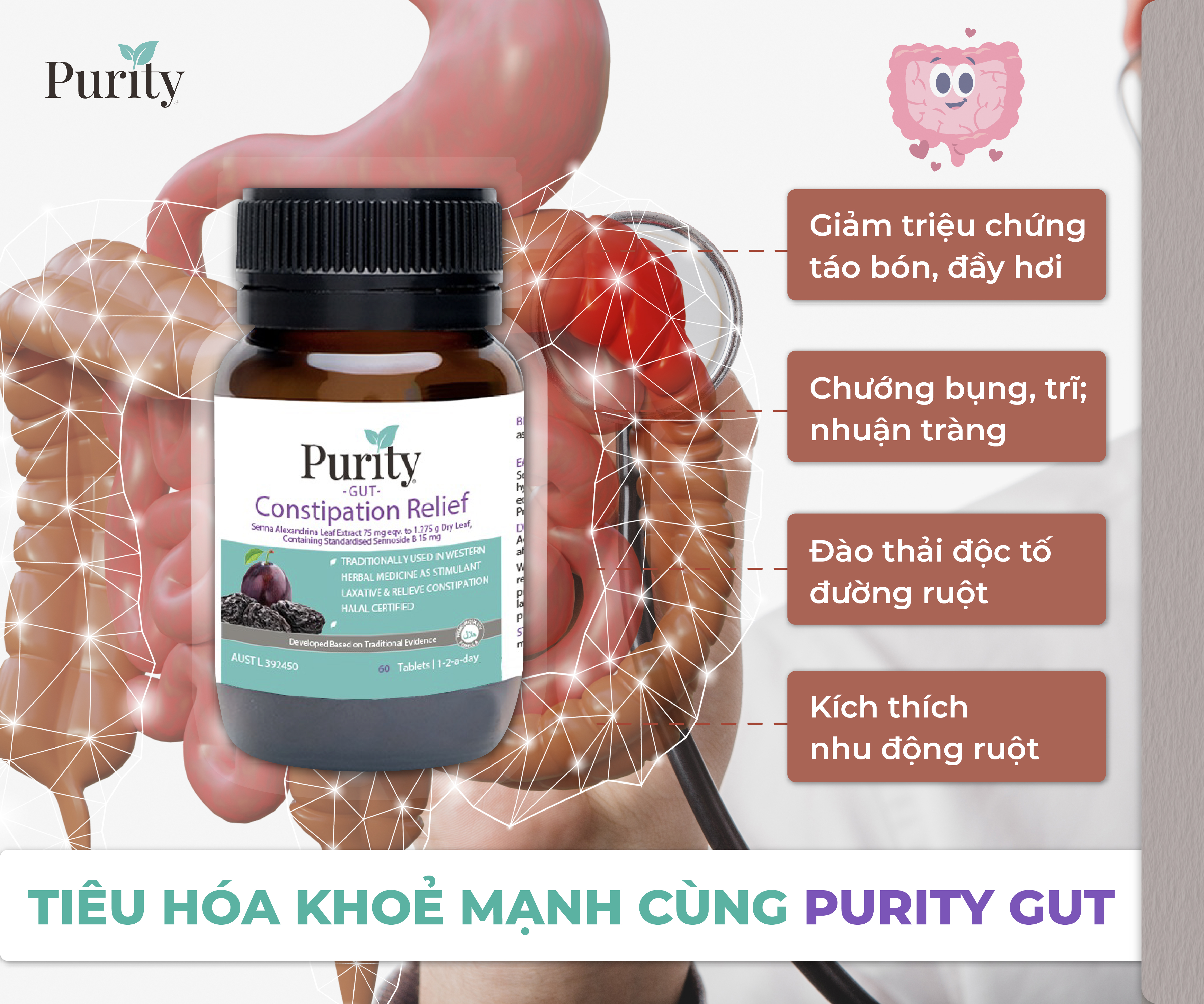 TIÊU HÓA KHOẺ MẠNH CÙNG PURITY GUT